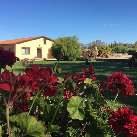 Agriturismo Sechi Campanedda Bagian luar foto