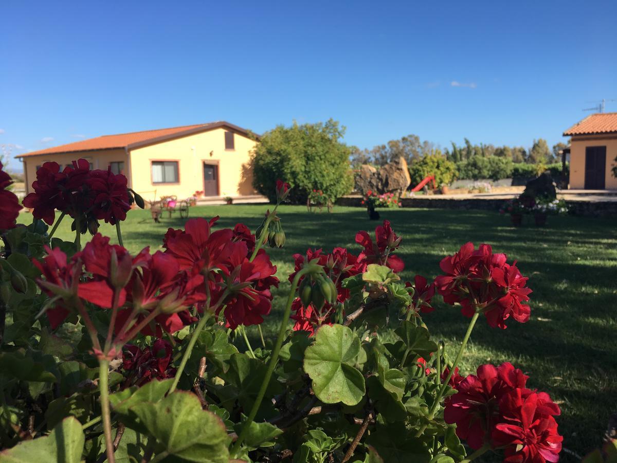 Agriturismo Sechi Campanedda Bagian luar foto